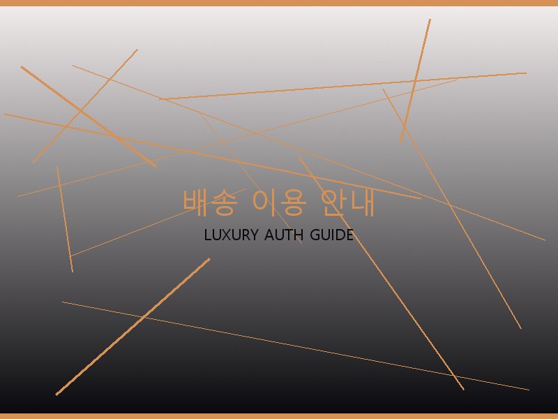 보테가 레플리카 사이트 배송 이용 안내
