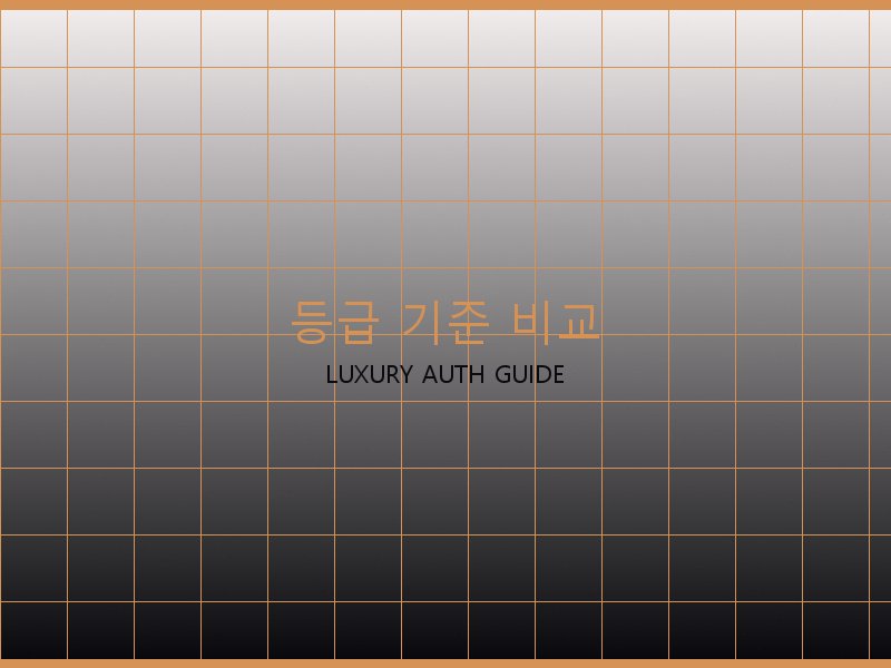 보테가 레플리카 사이트 등급 기준 비교